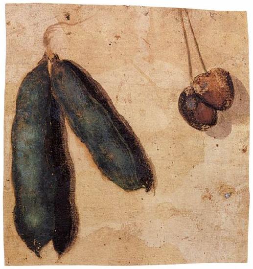 Simone Peterzano Peapods and Cherries oil painting image